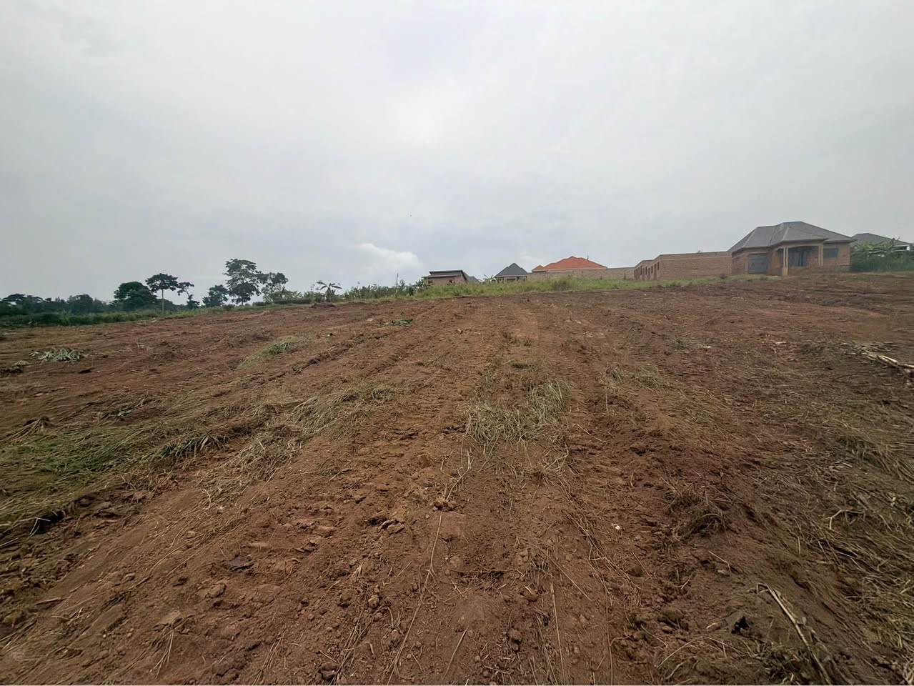 A picture of 50 100ft KAKIRI PRIME PLOTS AT 18 000 000 ugx