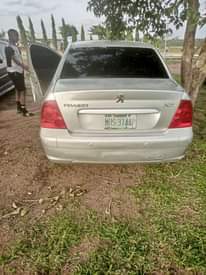 A picture of Peugeot clean Car