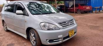 used toyota ipsum