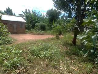 A picture of 100 100ft WITH 2 ROOMS HOUSE FOR SALE