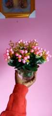 A picture of Tunauza maua artificial.0762988323