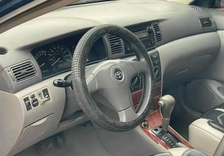 A picture of Direct tokubo first body