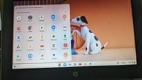 A picture of HP Chromebook
