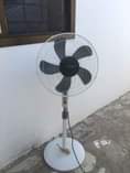 A picture of Feni tsh 25000