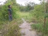 A picture of SHAMBA HEKA 5 LINAUZWA KILA HEKA TSH 200 000 LIPO