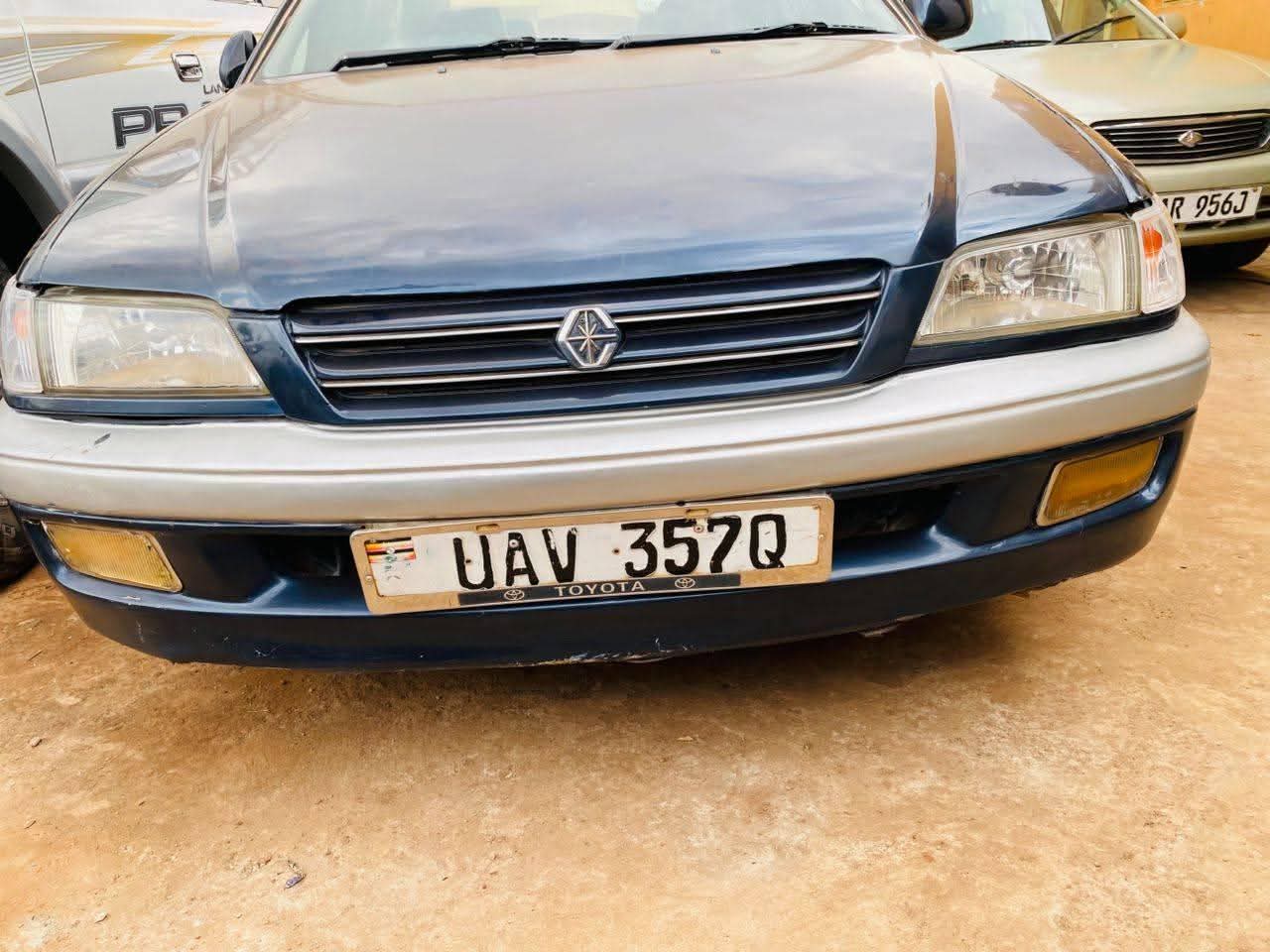 A picture of Premio ordinary