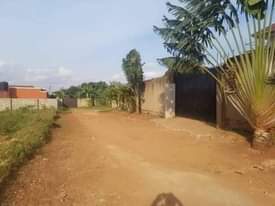 A picture of Land