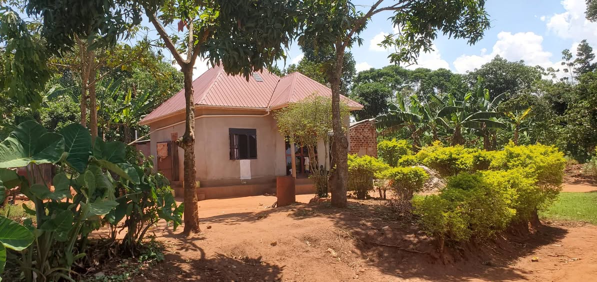 A picture of LOT FOR SALE MUKONO MAYANGAYANGA Size Price 50x100 ft 8M