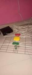 A picture of Items