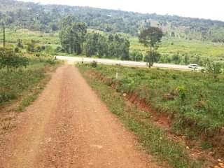 Sseka P.