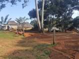 A picture of Land