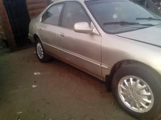 A picture of 1996 Honda Accord Le
