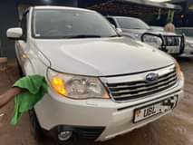 A picture of Forester