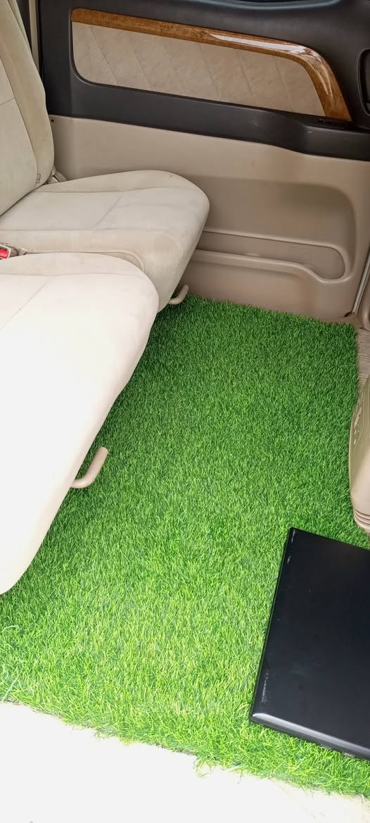 A picture of Toyota Alphard 2007