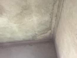 A picture of I80M 3 bedrooms 2 bathroom sitting room dining kitchen n