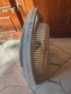 A picture of Fan