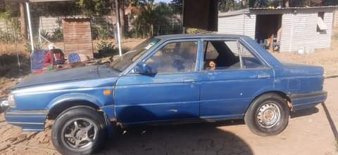 used nissan sunny