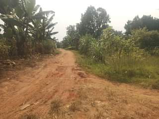A picture of 5m Quick sale 5m 50by40ft located at matugga migadde off