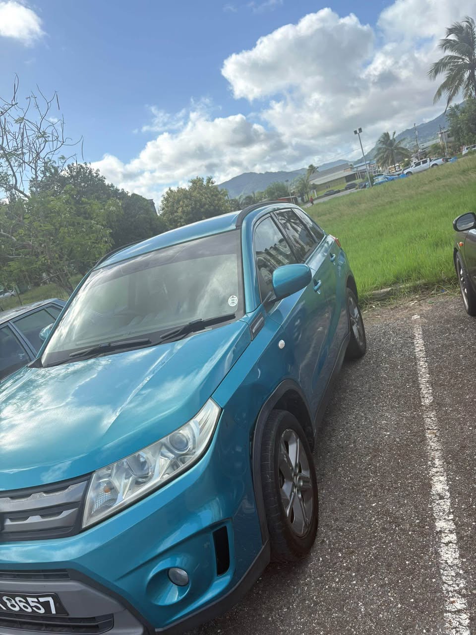 suzuki
