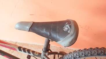 A picture of young adults Bicycle