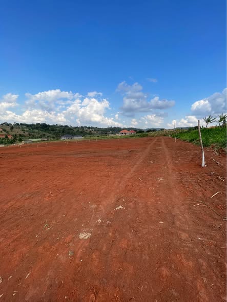 A picture of Plots for sale in Maya Town Masaka Rd 50Ft by