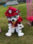 A picture of MICKEY MOUSE AND MIMMY MOUSE CHARACTERS