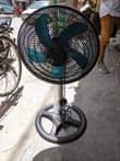 A picture of UBEY FAN