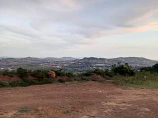 Hasan N.