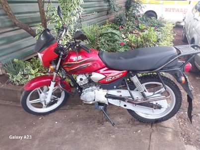 tvs hlx