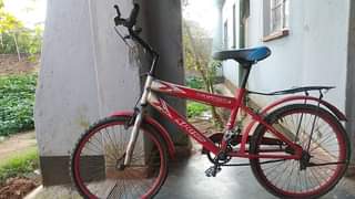 bicycle
