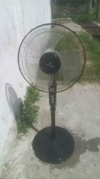 A picture of Feni