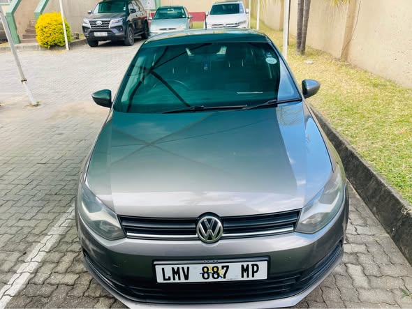 polo vivo