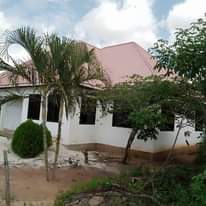 A picture of Nyumba
