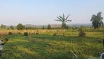 A picture of Kakiri Gobero Estate