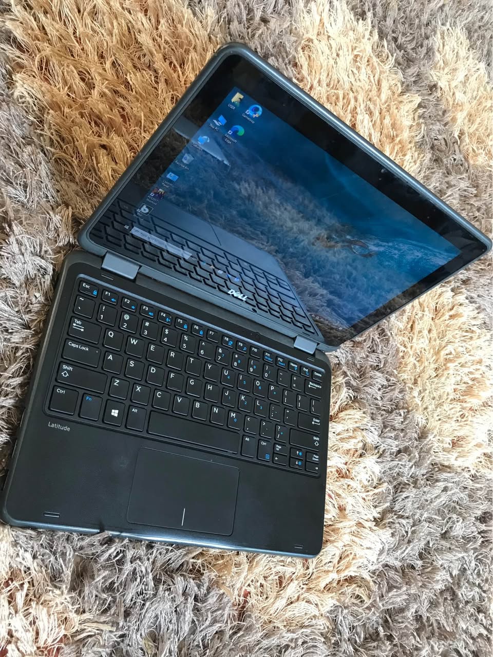 A picture of DEL LATITUDE