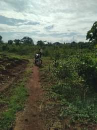 A picture of ANTI MR PROPERTY MANAGEMENT PLOT FOR SALE LOCATED AT KASANJE