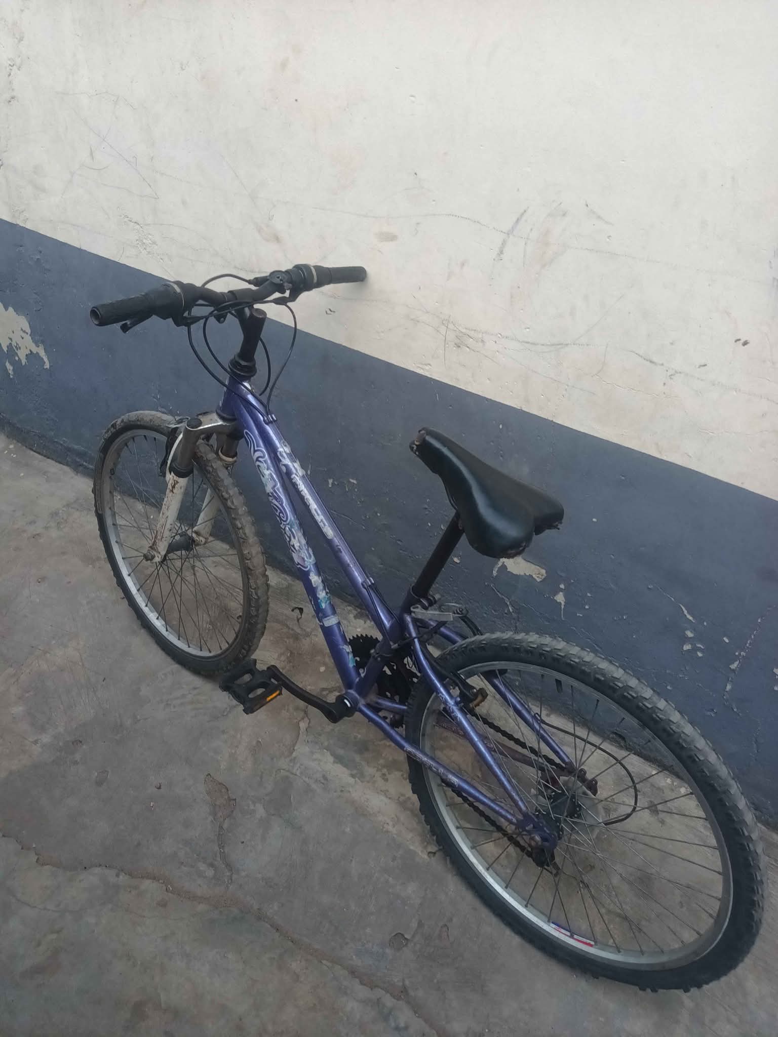 A picture of Apolo Bicycle