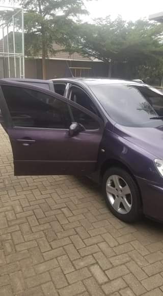 A picture of Peugeot 307