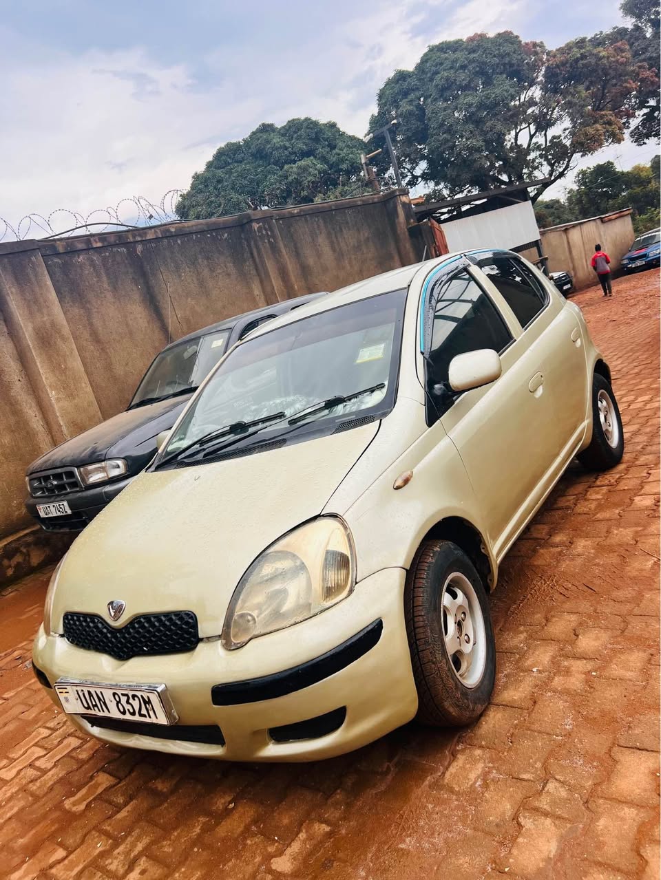 A picture of Vitz