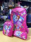 A picture of Trolley bags