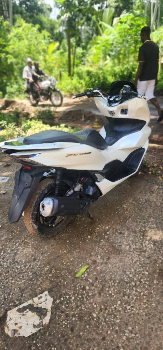 A picture of Pcx