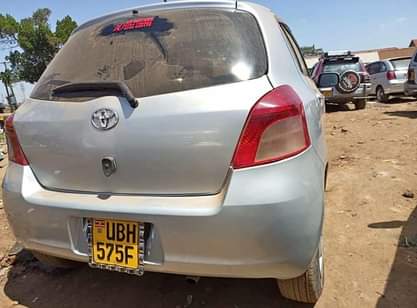 A picture of Vitz