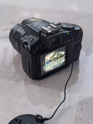 canon