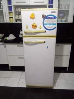 capri fridges