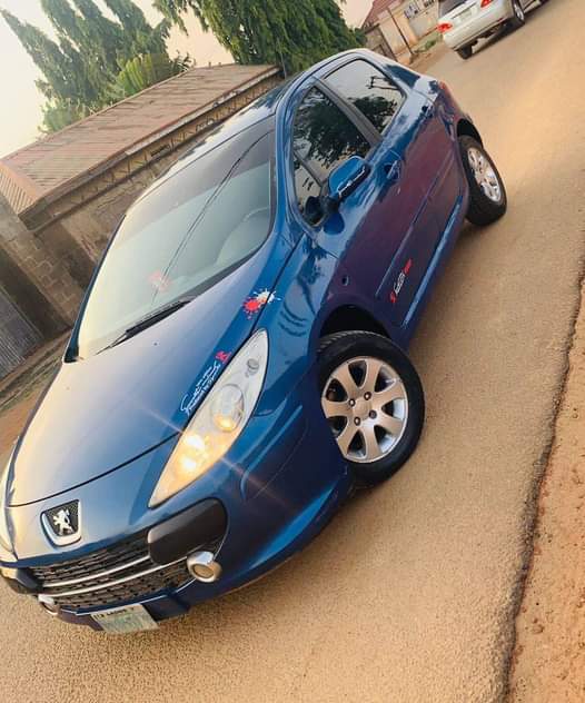 A picture of PEUGEOT 307 tiger face