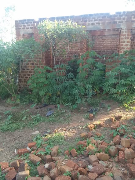 A picture of Plot on sale with 2Rental rooms in matuga town plot