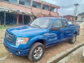 A picture of 2010 ford f150