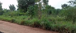 A picture of 2 5acres all at 24m with ready land title electricity