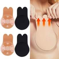 A picture of Rabbit bra