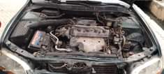 A picture of Honda baby boy tokubo standard 1m